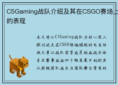 C5Gaming战队介绍及其在CSGO赛场上的表现