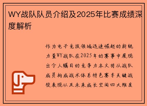 WY战队队员介绍及2025年比赛成绩深度解析
